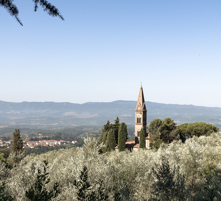 Olio San Michele