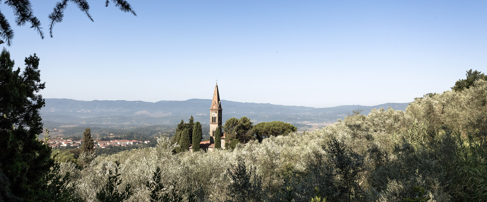 Olio San Michele